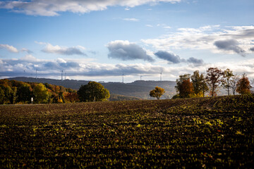 german landscape with field