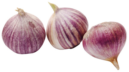 Solo or single clove garlic