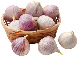 Solo or single clove garlic