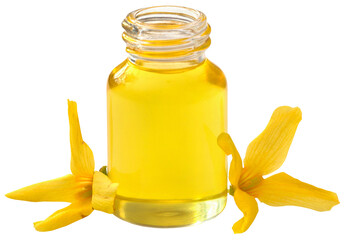 Forsythia with essential oil