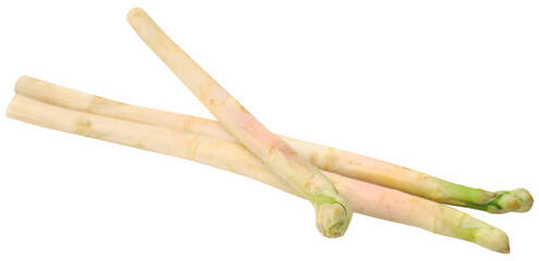 German White Asparagus
