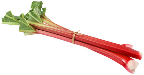 Fresh rhubarb