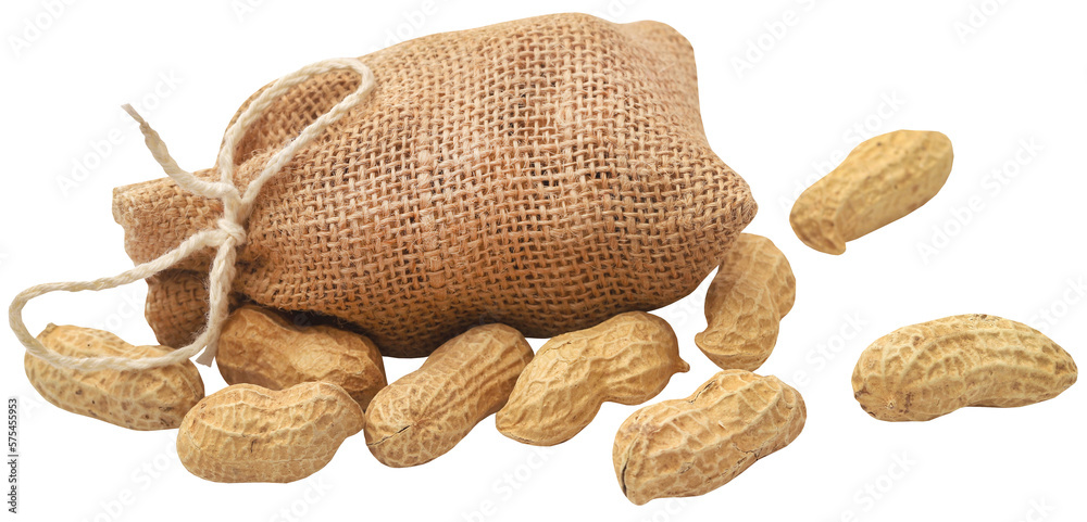 Canvas Prints Fresh Peanuts in sack