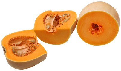 Butternut squash