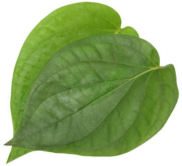 Edible betel leaves