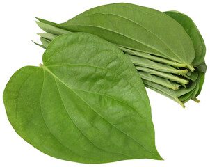 Edible betel leaves