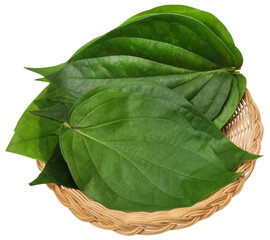 Edible betel leaves - obrazy, fototapety, plakaty
