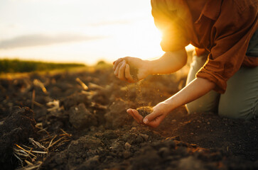 Female hands touching soil on the field. Agriculture, gardening or ecology concept