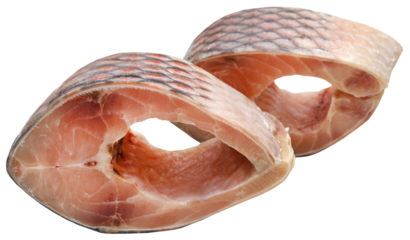 Rohu fish of Indian subcontinent