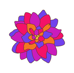 DRAWING ISOLATED FLOWER WITH MANY COLORFUL PETALS