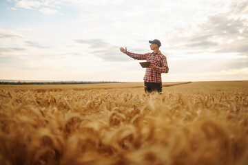 Naklejka na ściany i meble Tablet in the hands of a farmer. Smart farm. Farmer checking his crops on field. 