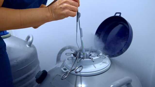Female laboratory medic extracting the samples from the reservoir with liquid nitrogen. Equipment and materials for IVF.