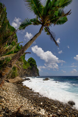 Palm trees and rocky beaches along the shore of the National Park of American Samoa, which is the only US National Park in the southern hemisphere.