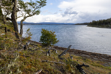 RESERVA PROVINCIAL LAGUNA NEGRA at Fagnano Lake near Tolhuin, Argentina, Tierra del Fuego, South...