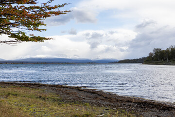 RESERVA PROVINCIAL LAGUNA NEGRA at Fagnano Lake near Tolhuin, Argentina, Tierra del Fuego, South America