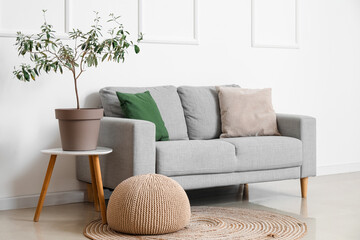 Interior of light living room with grey sofa, houseplant and pouf