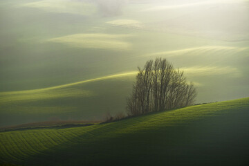  wallpaper of Shining green Hills