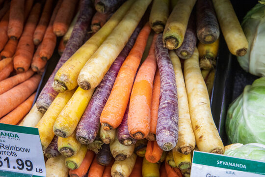 Yellow carrots, red carrots and orange carrots at the vegan market in Atlanta Georgia USA