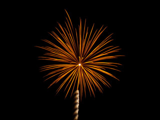 Fototapeta premium fireworks in the sky
