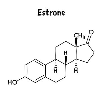 Estrone molecular structure. Estrone is a steroid, a weak estrogen, and a minor female sex hormone. .Vector structural formula of chemical compound. Black pen Hand-drawn style.