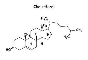 Cholesterol molecular structure. Cholesterol is a lipid and essential structural component of animal cell membranes. .Vector structural formula of chemical compound. Black pen Hand-drawn style.