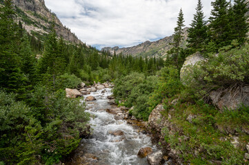 Fototapeta na wymiar North Fork Of Cascade Canyon Tumbles Through Forest and Boulders Of Grand Teton