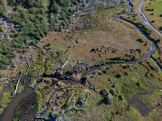 Aerial view of a beaver habitat in Reserva Lago Yeguin on the island Tierra del Fuego, Argentina, South America - obrazy, fototapety, plakaty