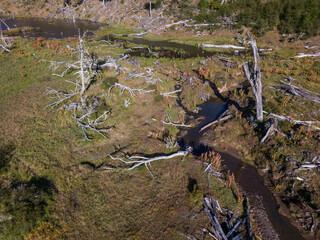 Aerial view of a beaver habitat in Reserva Lago Yeguin on the island Tierra del Fuego, Argentina, South America