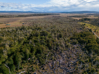 Aerial view of a beaver habitat in Reserva Lago Yeguin on the island Tierra del Fuego, Argentina, South America