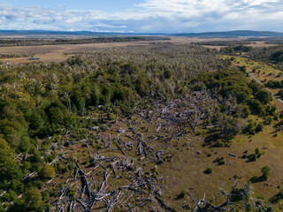 Aerial view of a beaver habitat in Reserva Lago Yeguin on the island Tierra del Fuego, Argentina, South America
