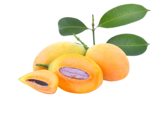 Marian Plum, (Bouea macrophylla Griffith).transparent png