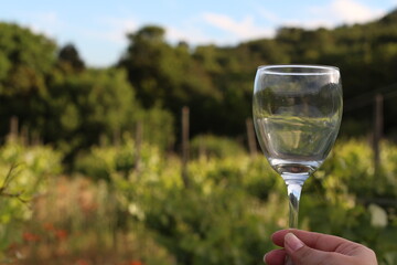 glass of wine