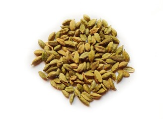 Closeup of dried cardamom isolated on white background.
