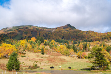 Obraz premium 笠ヶ岳の紅葉