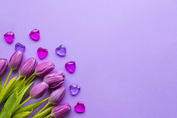 Fototapeta na wymiar Spring fresh tulips on violet background for mother's day, valentine greetingcard