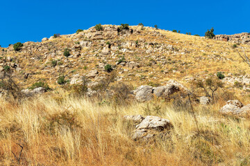 Rolling moiuntain and cactus hills in arizona on bright sunny day in dry season with natural grass and vegetation