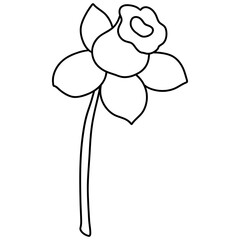 Spring flower, Easter Elements, Easter and Spring concept