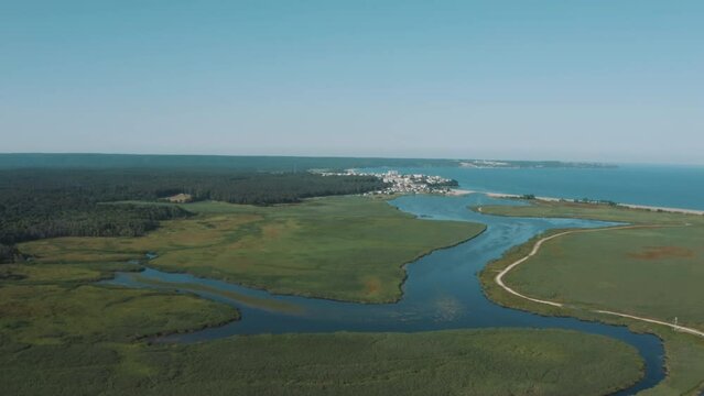 Igneada Longoz floodplain forests in summer