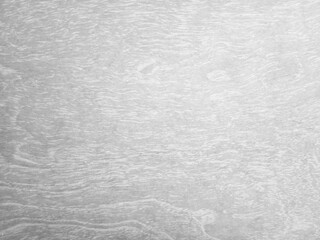 Fototapeta premium White wooden texture background in vintage style