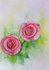 Watercolor paintings, pink roses, hand drawn art, watercolor background