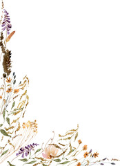 Watercolor beige wildflowers boho border, corner. Dried herbs, grass floral bouquet, elegant arrangement. Botanical boho elements isolated on white. Wedding invitation, greeting, card, printing design