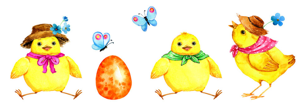 Watercolor Easter cute chicks and eggs illustration. Easter cartoon funny chicken. Greeting card, print, stickers.
