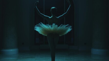 Cinematic shot of graceful ballerina in ballet tutu dancing in front of window in dark opera lobby at night. Female ballet dancer rehearses before the show in theater. Classic ballet art. Black swan.