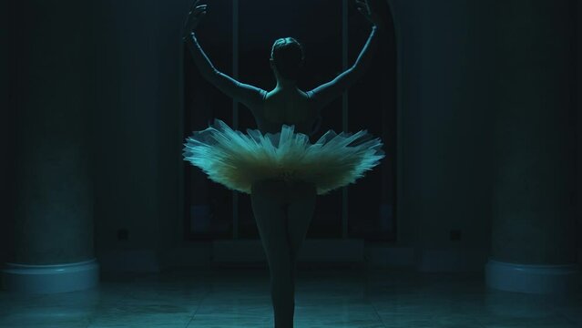 Cinematic shot of graceful ballerina in ballet tutu dancing in front of window in dark opera lobby at night. Female ballet dancer rehearses before the show in theater. Classic ballet art. Black swan.