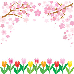 Obraz na płótnie Canvas 桜とチューリップのピンクの背景イラスト