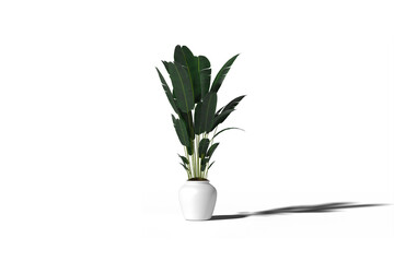 Decoration home plants with vase