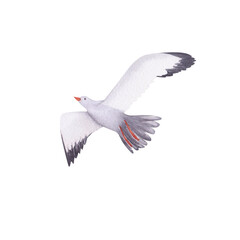 Seagull watercolor illustration. Hand painted card with norwegian house isolated on white background.