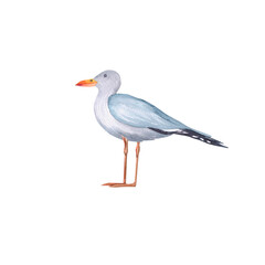 Seagull watercolor illustration. Hand painted card with norwegian house isolated on white background.