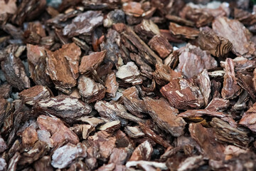 A bark on the ground in the park nature background