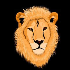 portrait of a lion head